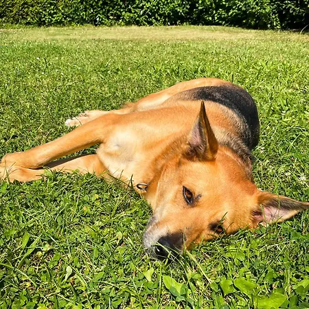 דירה Gardenhouse Eschborn - Naehe Messe Frankfurt